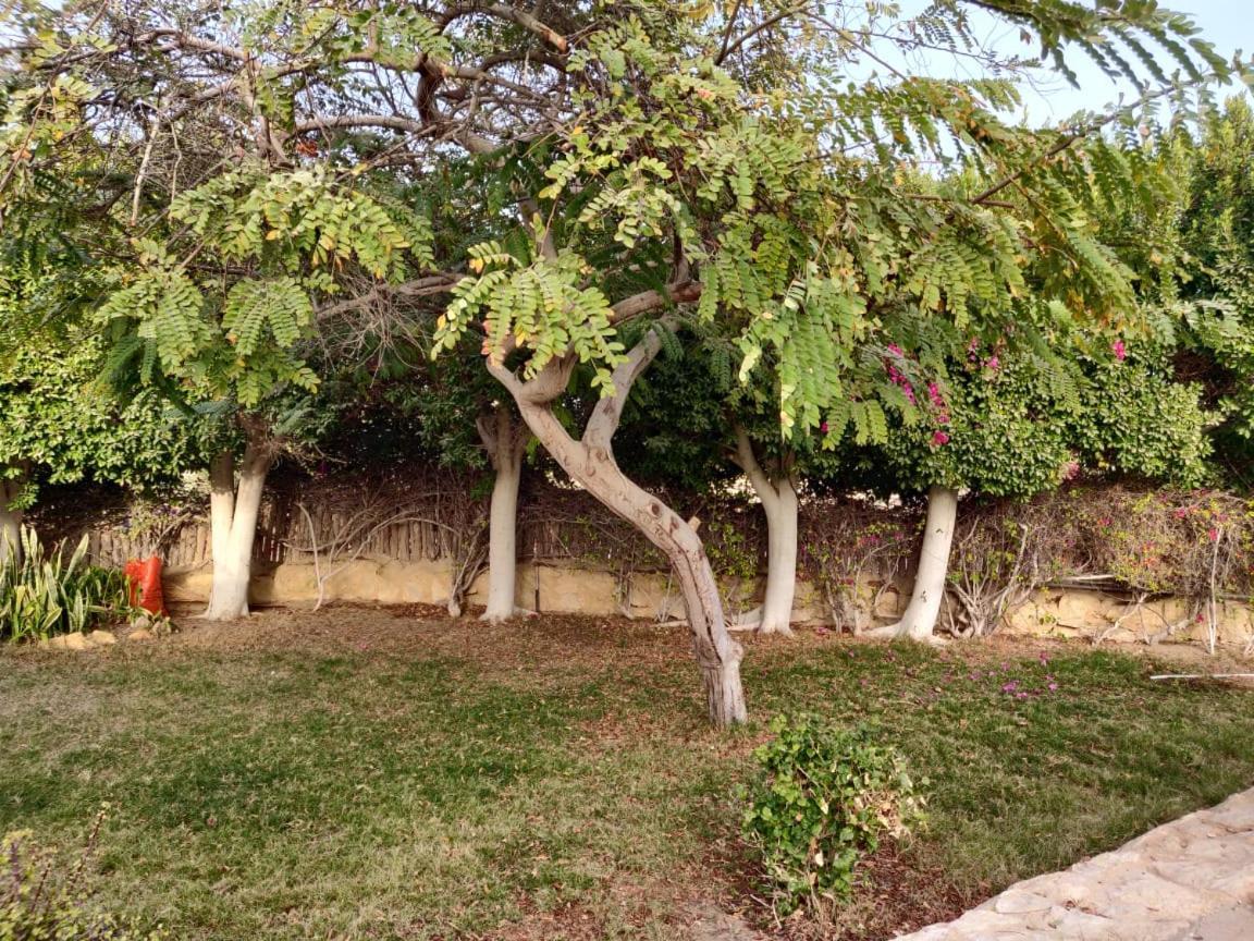 Tunis Lake View ‘Izbat an Nāmūs Buitenkant foto